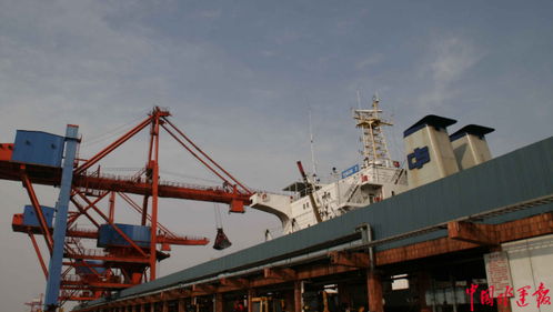 招商港口華南散雜貨營運中心揭牌成立，專業化保潔服務助力高效運營